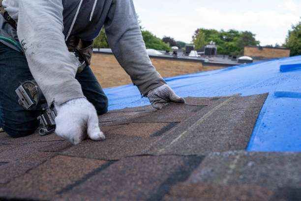 Best New Roof Installation  in Burns, TN