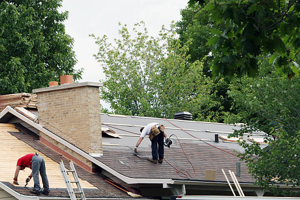 Best Flat Roof Repair Services  in Burns, TN