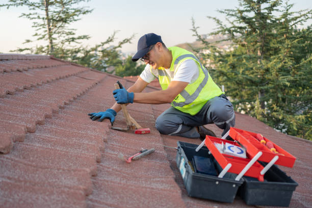 Best Roof Leak Repair  in Burns, TN