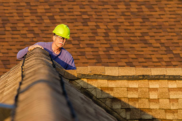 Best Metal Roofing Contractor  in Burns, TN